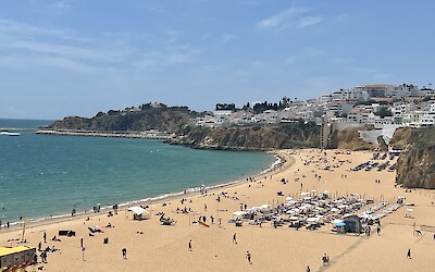 (submitted by Karla Frank)