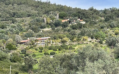 (submitted by Mark Eisenberg)