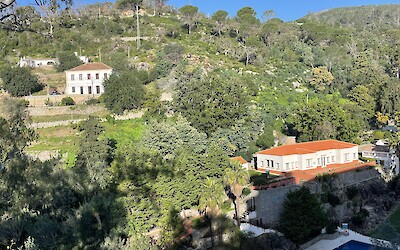 (submitted by Mark Eisenberg)