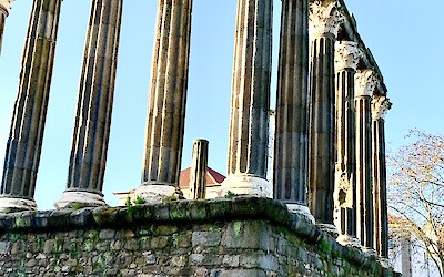 (submitted by Mark Eisenberg)