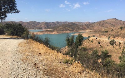 Photo 1 (submitted by Tuck)