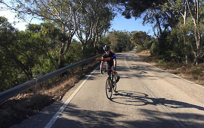 Photo 2 (submitted by Tuck)