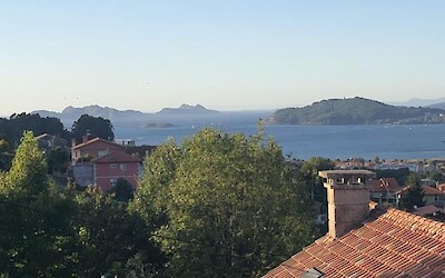 Photo 1 (submitted by Petey)