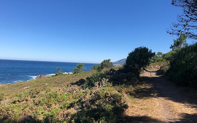 Photo 2 (submitted by Petey)