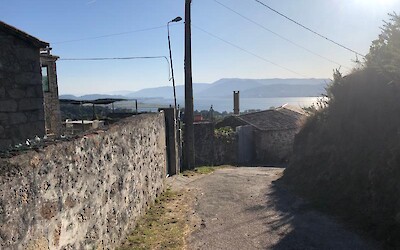 Photo 3 (submitted by Petey)