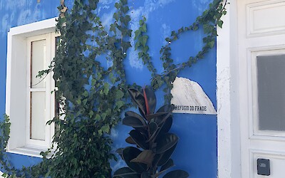 Wall next to a distillery in a small village. (submitted by Anne Stanek)