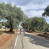 Riding the roads amongst cork trees. (photo by Anne Stanek)
