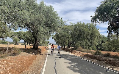 Riding the roads amongst cork trees. (submitted by Anne Stanek)
