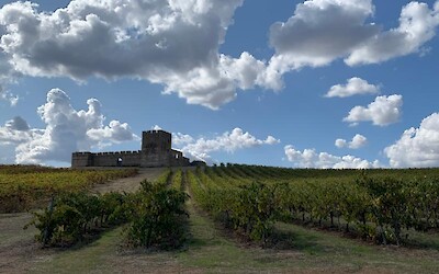 Photo 1 (submitted by Lieve v)