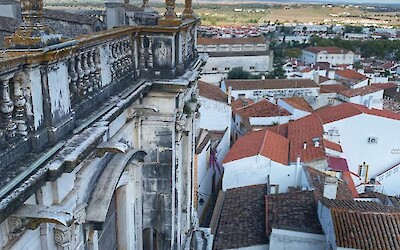 Photo 6 (submitted by Lieve v)