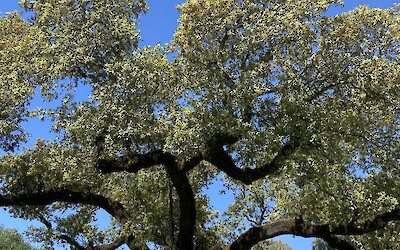 Typical scenery (submitted by Kathy Kinney Bowman)