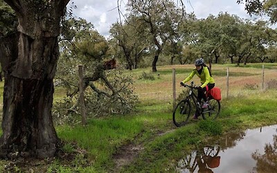 Navigating back roads in between megalithic monuments outside of Evora. (submitted by Traveling Jackie)