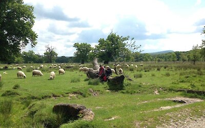 Photo 3 (submitted by JimJ)