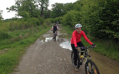 Photo 6 (submitted by JimJ)