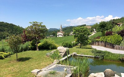 A view from our room at our favorite guest house with wine tasting!! (submitted by TheVerns)