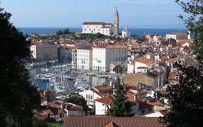 Photo 3 (submitted by SWTA)