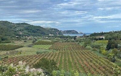 Arriving at the coast near Piran (submitted by Chris Mauriello)