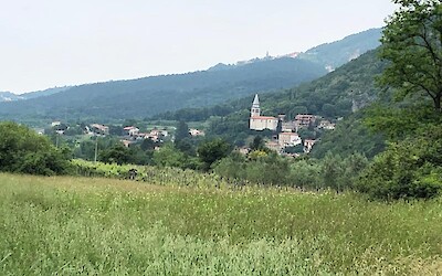 Along the path (submitted by GobaGirl)