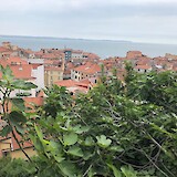 View from the Castle in Piran (photo by GobaGirl)