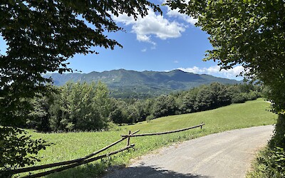 (submitted by Wes Kenney)