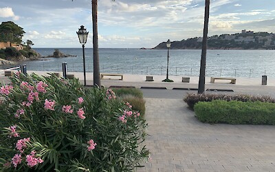 Platja D'Aro from S'Agora Hotel (submitted by Anne Stanek)