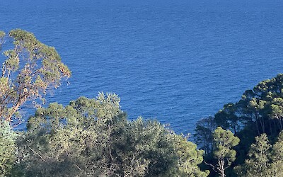 The Mediterranean! (submitted by Anne Stanek)