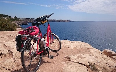 Photo 4 (submitted by Cecilia7)