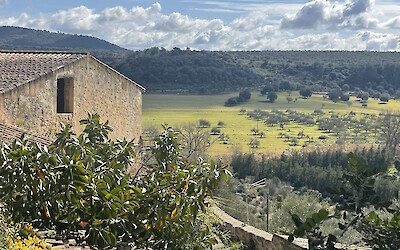 (submitted by LK Hessefort)