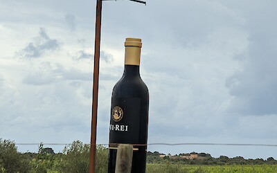 (submitted by Jo-Ann Del Vecchio)