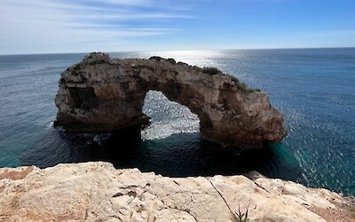 Go to the overlook and walk/slide down to the bench.  You won't be disappointed! (submitted by Lisa Jonas)