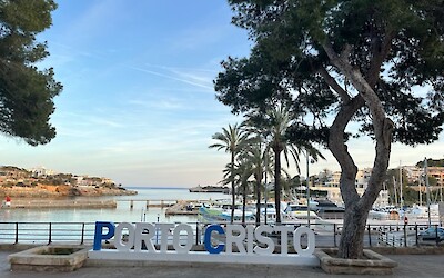 (submitted by Lisa Jonas)