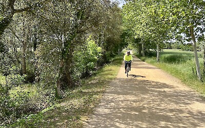 (submitted by Sue Larson)