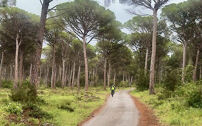 (submitted by Sue Larson)