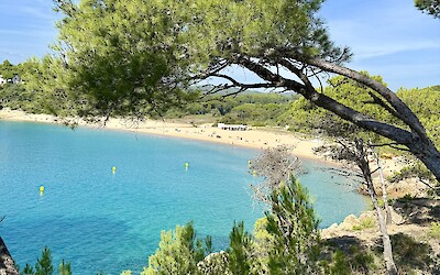 (submitted by Sarah)