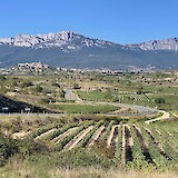 Rioja Valley (photo by Lisa Price)
