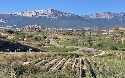 Rioja Valley (submitted by Lisa Price)