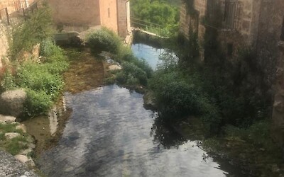 Photo 3 (submitted by TJS53)