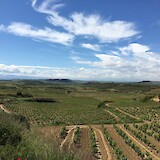 La Rioja wine region (photo by Laird)