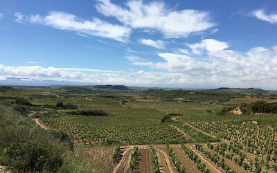 La Rioja wine region (submitted by Laird)