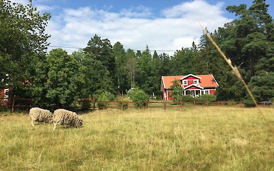 Country views (submitted by RachelB)