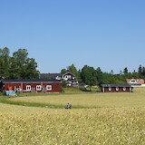 Beautiful countryside (photo by David H)