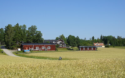 Beautiful countryside (submitted by David H)