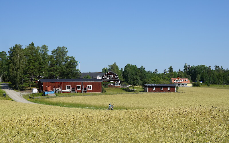 Beautiful countryside (submitted by David H)