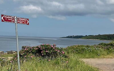 (submitted by Jann Slayton)