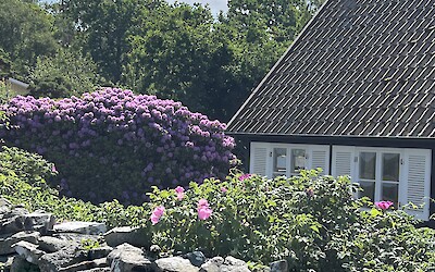 (submitted by Jann Slayton)