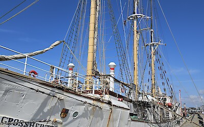 (submitted by Walter B)