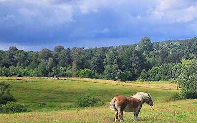 (submitted by Walter B)