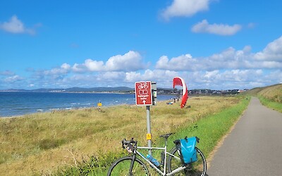 (submitted by Rebecca)