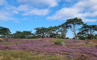 (submitted by Rebecca)