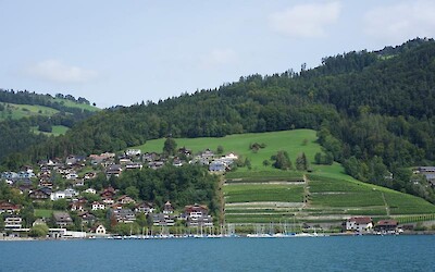 Lake Thun Hillside (submitted by apitzer)